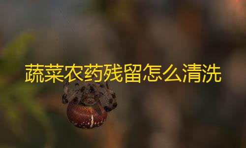 快手点赞有收益吗蔬菜农药残留怎么清洗